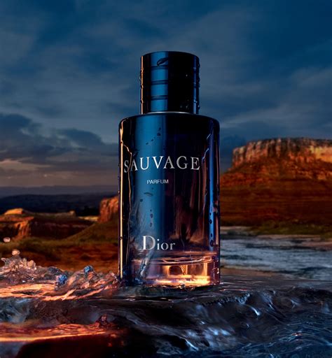 dior sauvage 100ml perfume|dior sauvage perfumes e companhia.